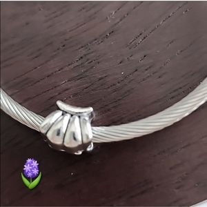 Shell  Charm for European Style Bracelets Fits Pandora Systems and